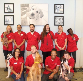 DiamondSpringsDayCare