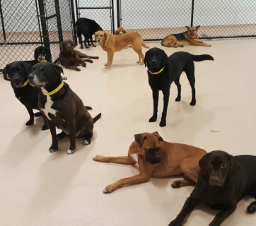 new-group-picture
