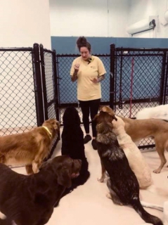 pack-training-with-kristen