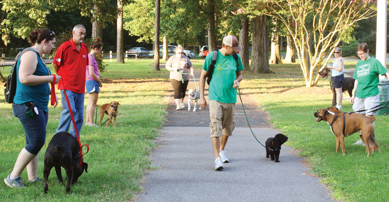 social dog walking groups near me