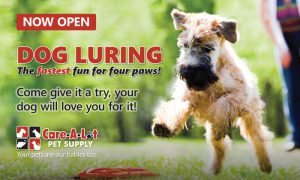 Dog Luring Event Banner